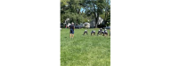 8u